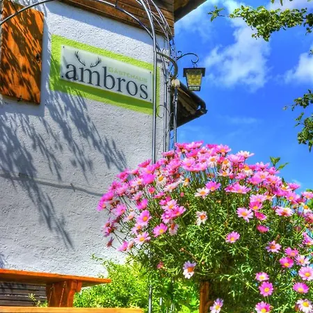 Gastehaus Ambros *